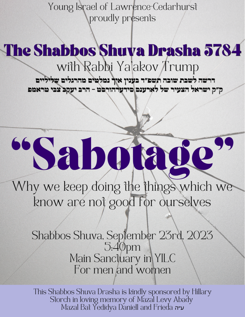 Banner Image for Shabbat Shuva Drasha