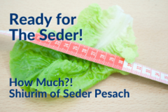 How much do we eat? What are the shiur sizes for the seder? Image